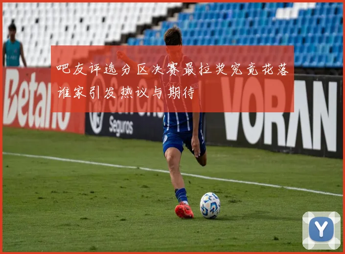 吧友评选分区决赛最拉奖究竟花落谁家引发热议与期待
